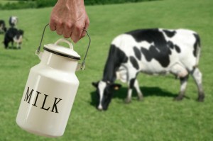 Cows_milk