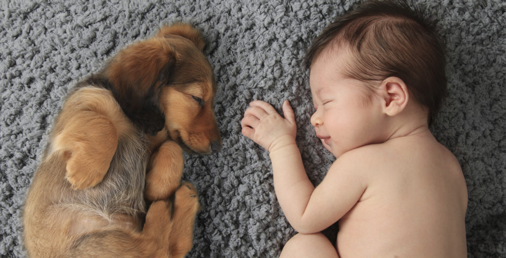 newborn baby sleeping