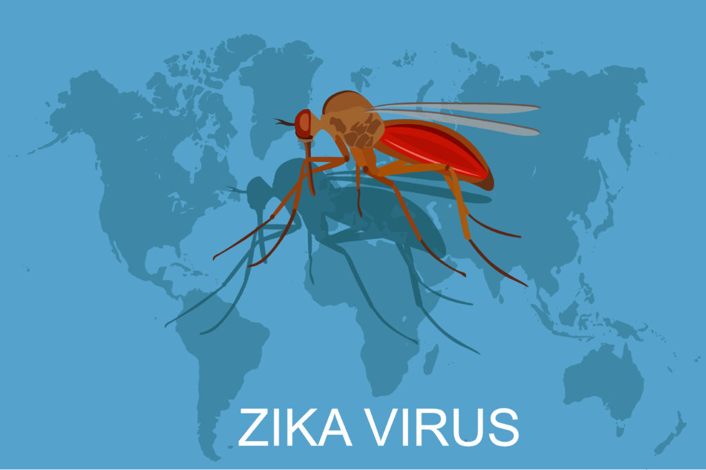 Zika Virus